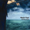 Norb Payr - You Better Stop