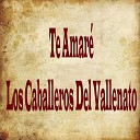 Los Caballeros del Vallenato - No He Parado de Llorar