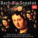 Gabriela Demeterov Giedr Luk ait Mr zkov - 6 Violins Sonatas No 2 in A Major BWV 1015 IV Andante un…