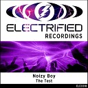 Noizy Boy - The Test Original Mix