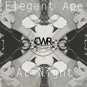 Elegant Ape - At Night Gabriel Slick Sunset Remix