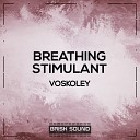 Voskoley - Breathing Original Mix
