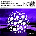 Random J - What You Do To Me Original Mix