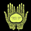 Organic Haze - Apriori Original Mix
