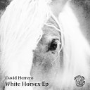David Herrero - White Horsex Original Mix