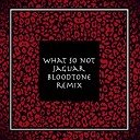 What So Not - Jaguar Bloodtone Remix