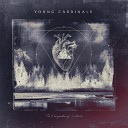 Young Cardinals - Sink or Swim
