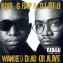 Kool G Rap DJ Polo - Talk Like Sex Radio Version