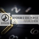 Skydrum Soul Player - Future Is Now Original Mix