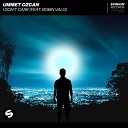Ummet Ozcan Feat Robin Valo - I Dont Care