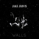 Jake Jarvis - Night Skies