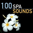 Nature Sounds Spa Therapy - Sail the Sky