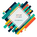 Gosize - Unique Original Mix
