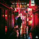 Mynoorey - Big In Japan Jay Frog Remix