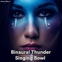 Binaural Nature - Real Bowl