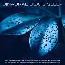 Binaural Beats Sleep Asmr Binaural Beats - Binaural Beats Relaxation