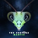 The Sektorz - Mantis Original Mix