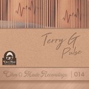 Terry G - Pulse Original Mix