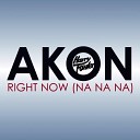 Akon - Right Now Na Na Na Harry Fowler Bootleg