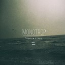 Monotrop - Pokoj