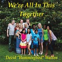 David Hummingbird Walton - Anything Is Possible