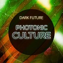 Photonic Culture - D Wave