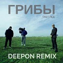 Грибы - Тает Лед DeepOn Remix