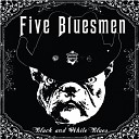 Five Bluesmen - New York City Blues
