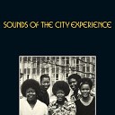 Sounds of the City Experience - Reality