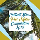 Acoustic Chill Out Tropical Chill Music Land - Soft Waves