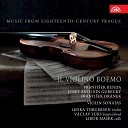 Lenka Torgersen V clav Luks Libor Ma ek - Violin Sonata in B Flat Major II Allegro ma non…