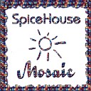 SpiceHouse - The World is Jungle extended jam