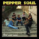 Pepper Soul - Rest in Peace