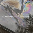 David Keeley feat Aidan Keeley Dave Campion Paul… - Ocean