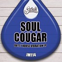 Soul Cougar - DTTD Original Mix