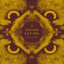 Diction - The Back Original Mix