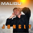 Jungly - Malib Sannyj Opera Radio Mix