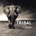African Tribal Drums - Move to the Rhythm
