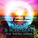 Mindfulness Kids Club - Sonata No 1 in F Minor for Clarinet and Piano Op 120 I Allegro…