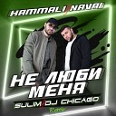 HammAli Navai - Не Люби Меня Sulim DJ Chicago Radio…