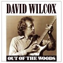 David Wilcox - Out In The Wild Wild World