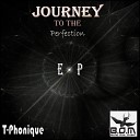 T Phonique - Would You Come With Me Original Mix