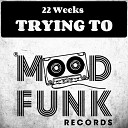 22 Weeks - Trying To Original Mix
