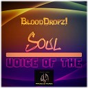 BloodDropz - Intro Voice of The Soul Original Mix