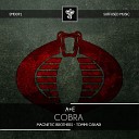 A E - Cobra Magnetic Brothers Remix