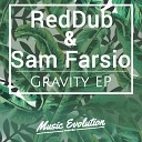 RedDub Sam Farsio - Endurance Original Mix