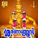 M S Vishwanathan - Ayyappanvaazhunna