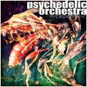 Psychedelic Orchestra - Bittersweet Original Mix