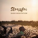 Meditationen L ten Akademi - Mindful andning
