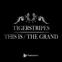 Tiger Stripes - This Is Original Mix